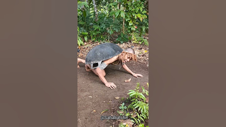 KURA KURA RAKSASA MARAH ANAKNYA DI AMBIL BESTIEE