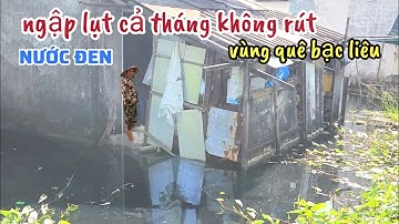 Vùng Quê Bạc Liêu Nước Ngập Cả Tháng Không Rút, Lạ Đời Nước Màu Đen Có Mùi Hôi Bà Con Than Trời