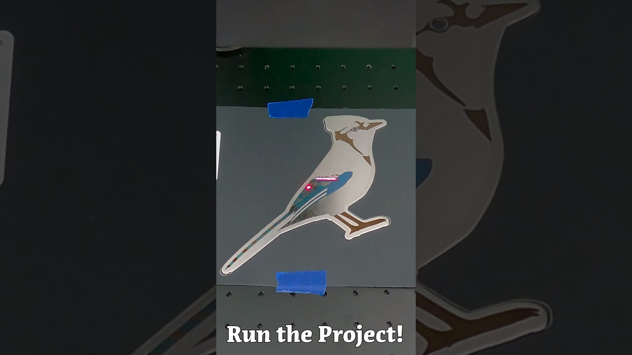 Why do so many people love Monport?