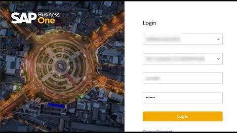 SAP Business One Web Client: Activity Creation for Business Partners Bot