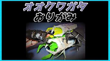 リアル折り紙のクワガタ