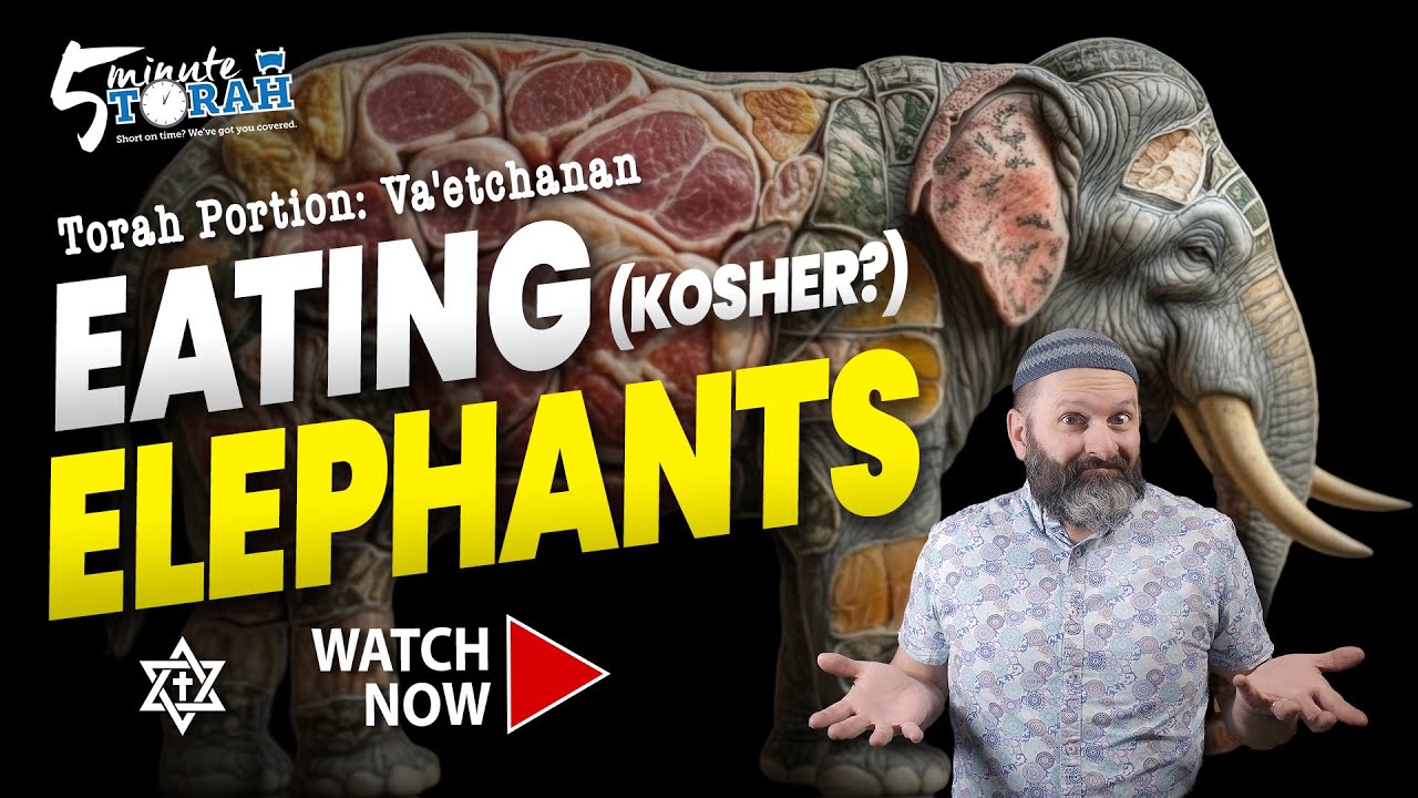 Va etchanan 5 Minute Torah Messianic Commentary On The Weekly Torah Va etchanan 5 minute torah messianic commentary on the weekly torah