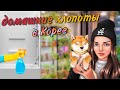 Домашние хлопоты в Корее / KOREA VLOG