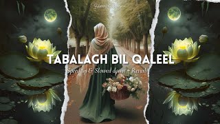 Tabalagh Bil Qaleel | Nasheed by Osman Al Safi | Speed up & Slowed down + Reverb #nasheed #peace