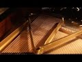 Fluffyaudio  scoring piano