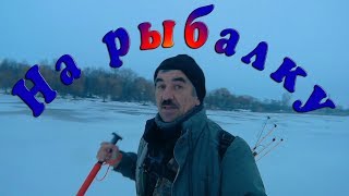 видео: Караси выкладывают поплавки с лунки. Зимняя рыбалка. картинка: Караси выкладывают поплавки с лунки. Зимняя рыбалка.