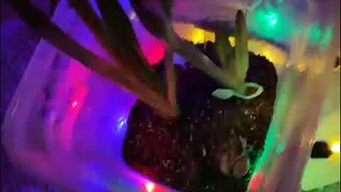 78668256782  8246132E EC21 4275 A4EA 684F69C929D5