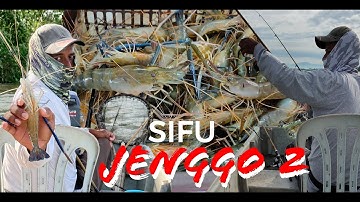 SIFU JENGGO_02 | UDANG GALAH | SUNGAI PERAK | TELUK INTAN | PAKAR UDANG | FRESHWATER PRAWN | MASTA