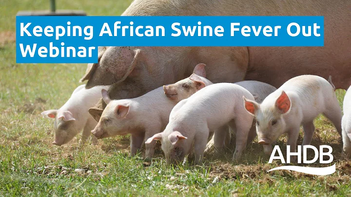 Keeping African Swine Fever Out | AHDB Webinar