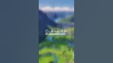 ماتيسر من سورة يس 55_57||القارئ:احمد النفيس||ارح قلبك💜.