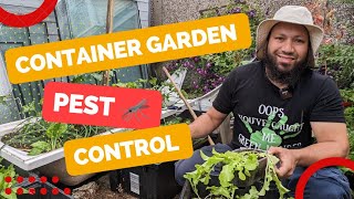 Small Garden Growing in Tiny Spaces - Pest Control by My Family Garden 2,603 views 10 months ago 13 minutes, 4 seconds