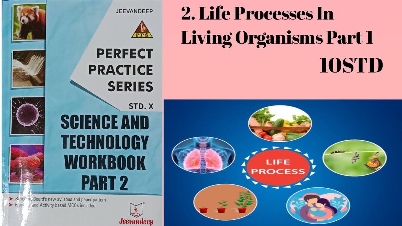 10STD Science 2 Chapter 2 Life Processes In living Organisms Part 1 ...