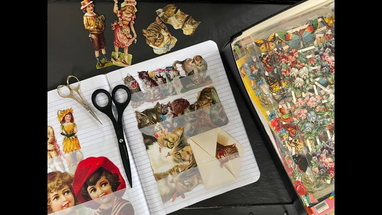 【作業動画】クロモスを飽きるまでカットして収納していく