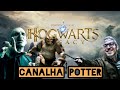 HOGWARTS LEGACY - #5 - Harry Potter sem Harry Potter