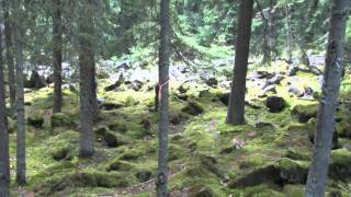 Romania Is A Natural Wonderland (Presentation)