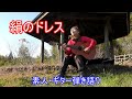 絹のドレス(作曲:矢沢永吉)/ 素人 ギター弾き語り