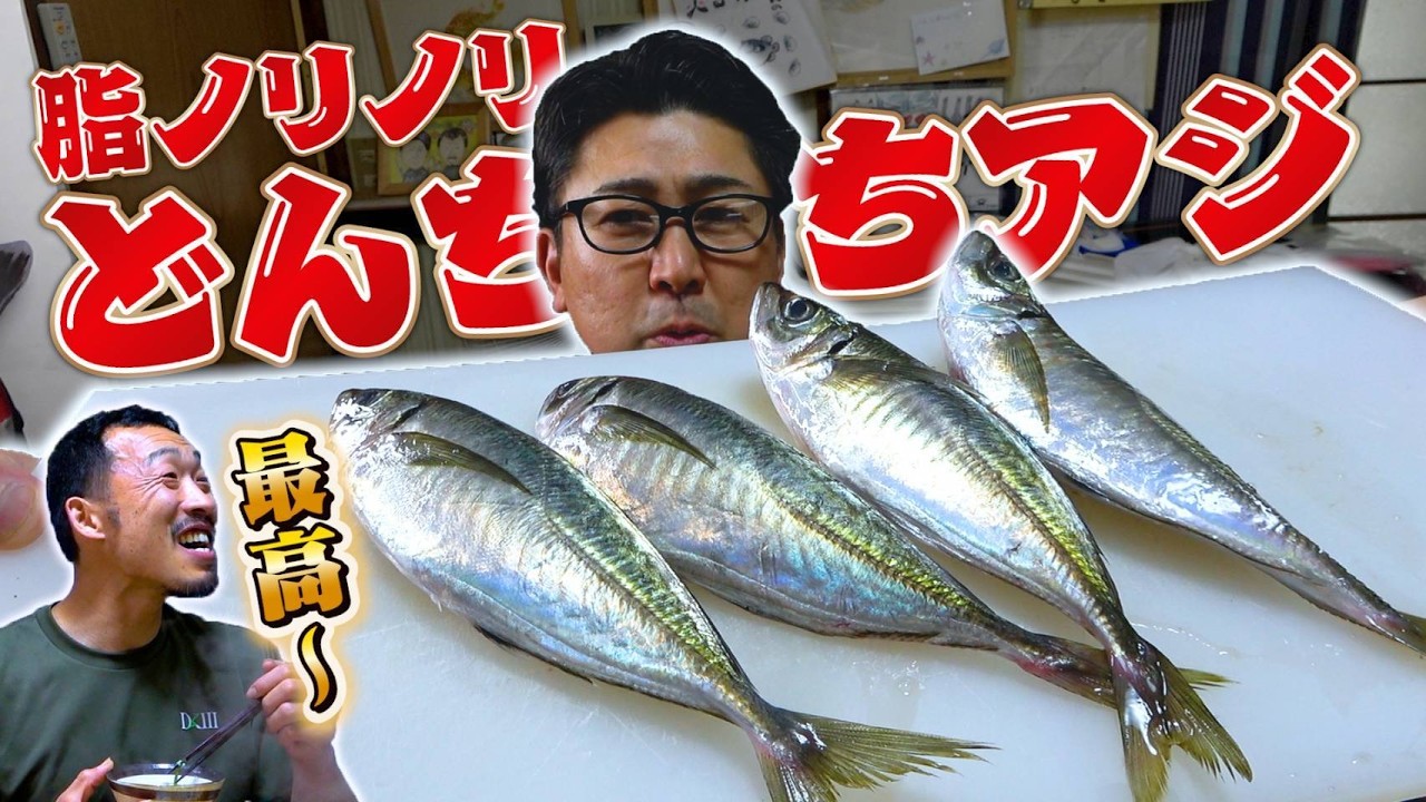 【兄貴ご満悦】脂が限界突破！最高峰のトロアジが最強すぎた