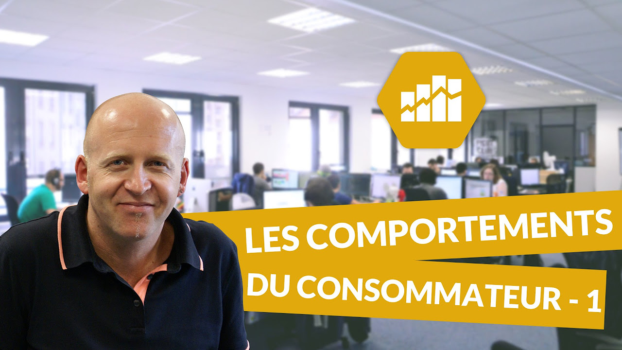 Les comportements du consommateur 1/2 - Marketing - digiSchool