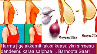 Harma Jige Akkamiti Akka Kaasu Ykn Sirreesu Dandeenu Karaa Salphaa ... 100%Iti