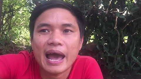 Giải thích tên gọi Đồng Nai/Lê Hữu Bình Official