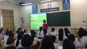 TLV 5 Luyện tập tả cảnh