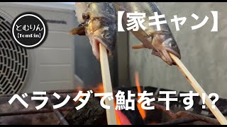 【家キャン】ベランダで鮎を干す⁉︎〜キャンプ気分で鮎の塩焼き〜