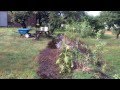 Food Forest Swales in Summer Rain