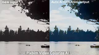 Transforming Old Black and White Videos into Stunning Color Masterpieces | Pixbim Video Colorize AI