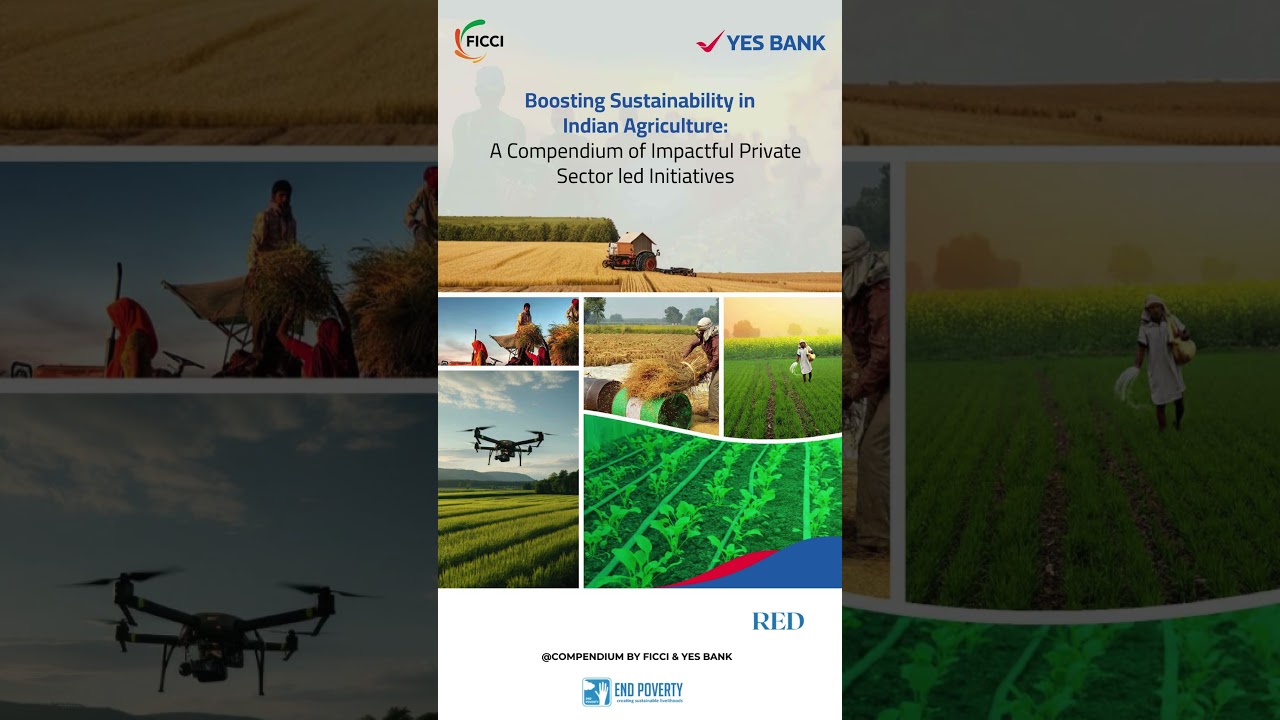 Celebrating Impact & Recognition