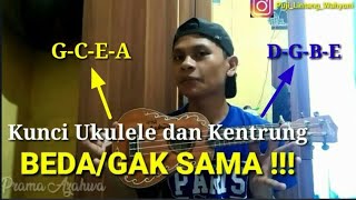 PERBEDAAN KUNCI UKULELE G-C-E-A DAN KENTRUNG D-G-B-E