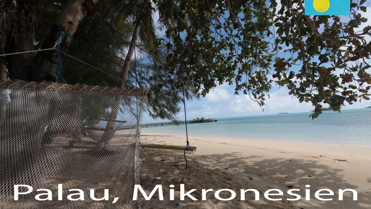 Wildnis auf Carp Island. Palau, Mikronesien