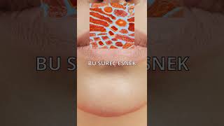 Şekerin Gizli Katili Cildi Çökertir