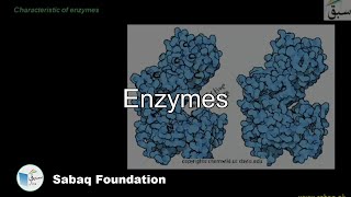 Enzymes, Biology Lecture | Sabaq.pk