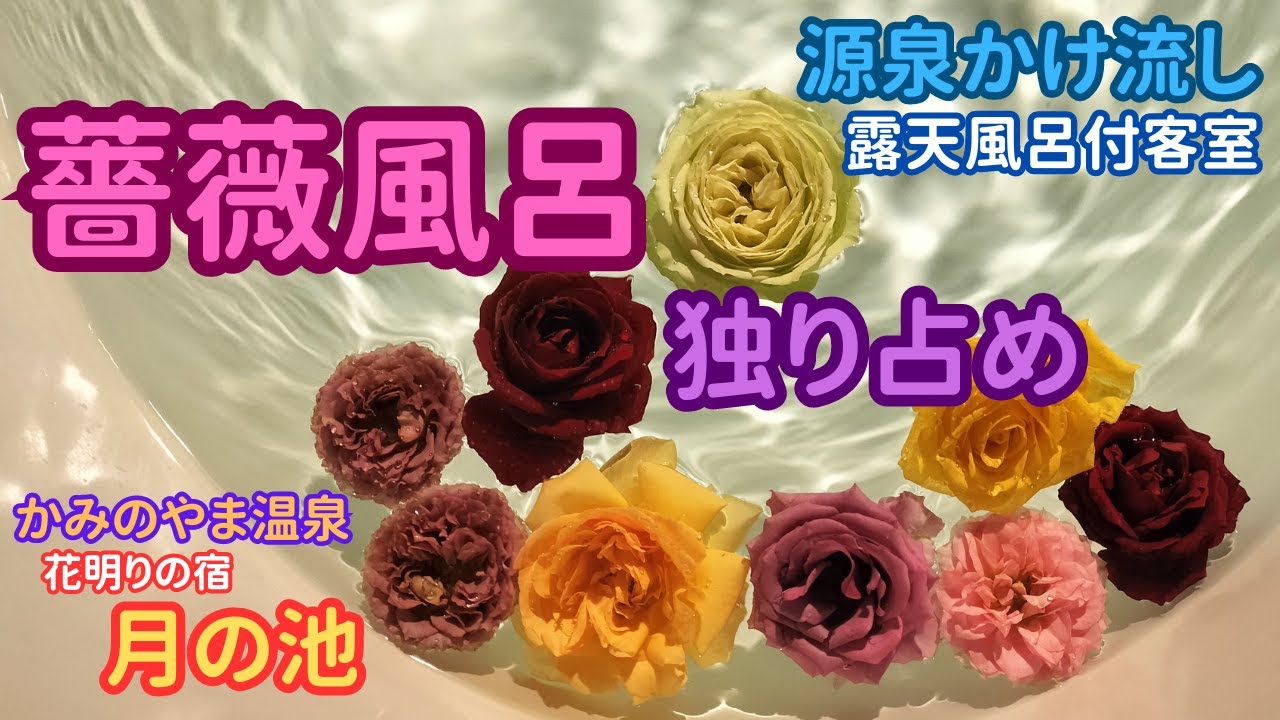 源泉かけ流し露天風呂に薔薇の花を浮かべて入浴‼かみのやま温泉 花明りの宿『月の池』♡薔薇風呂♡山形県産バラ♡露天風呂付客室♡雪見風呂♡キャンドルが浮かぶ檜露天風呂♡花懐石♡山形県産ワイン♡山形牛