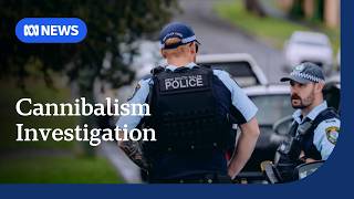 Police investigate  cannibalism in 4yo's death on Central Coast | ABC NEWS