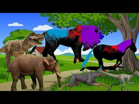 Animal Animation Video Run Lion Tiger Dog Elephant Stamped Cartoon animal-animation-video-run-lion-tiger-dog-elephant-stamped-cartoon