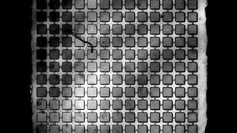 Square array of excitatory coupled BZ oscillators.