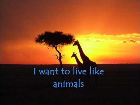 Savage Garden- The Animal Song Lyrics