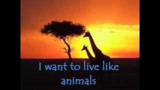 Savage Garden- The Animal Song Lyrics