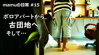 大切なことは…自分の窓がボロだと知ること｜ボロアパートから古団地へ引っ越し｜mamu15｜ご飯が美味しいと言える幸せ！