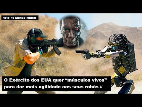 Vídeo: Os Militares Ensinarão Aos Robôs Um Comportamento Aceitável - Visão Alternativa