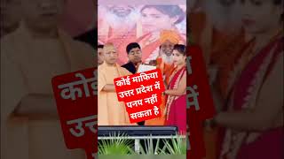 cm yogi speech : योगी आदित्यनाथ ने कहा उत्तर प्रदेश में माफिया नहीं रहे हैं | cm yogi stutas