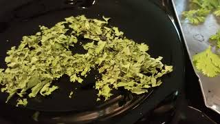 Drying Cilantro to use in Fall and Winter