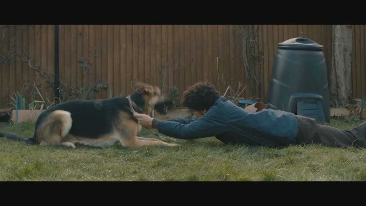 Dog Boy Full Length Trailer YouTube