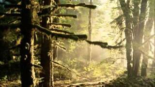 Seba - Hidden Reflection