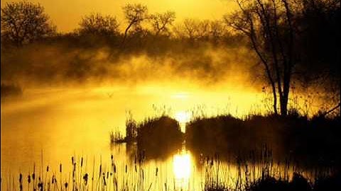 ما تيسر من سورة الزمر الشيخ سلمان بن علي العتيبي