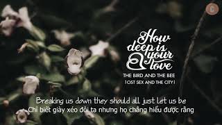 Vietsub How Deep Is Your Love The Bird And The Bee Vietsub How Deep Is Your Love The Bird And The Bee