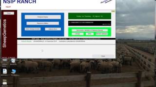 NSIP Pedigree Master Tutorial- Set up