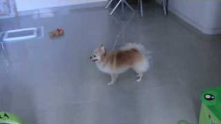 20100708.wmv
