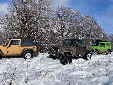 ბოჭორმა - სათიბე [22.11.2020]